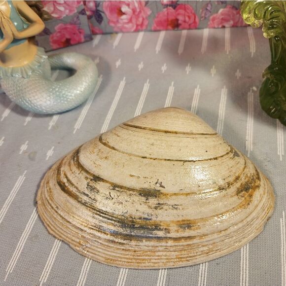 DECOUPAGE CLAM SHELL DECOUPAGE FLOWERS TRINKET DISH - Picture 11 of 11